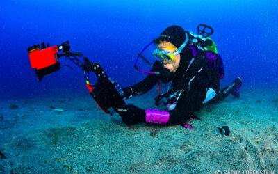 Segundo Curso práctico de  Fotografía Submarina Macaronesian Divers
