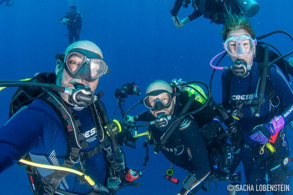 buceadores en tenerife realizando una inmersión