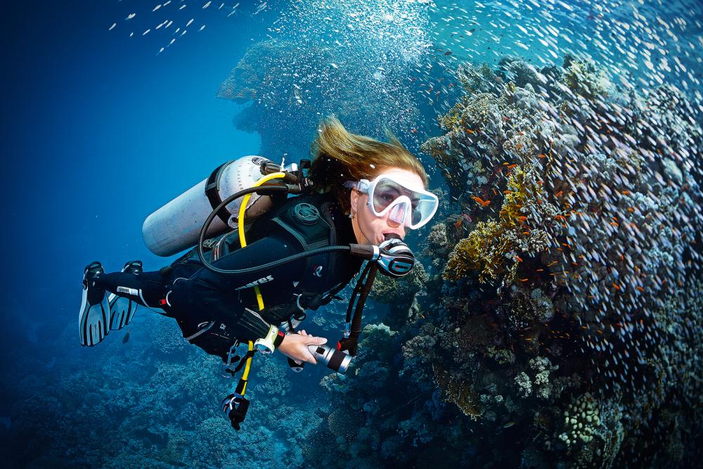 curso-de-buceo-react-right