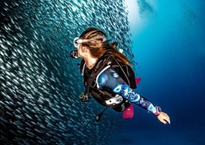 Curso de buceo de Especialidad SSI Dive Guide en Tenerife