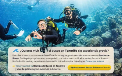 MEJORES LUGARES PARA BUCEAR EN TENERIFE