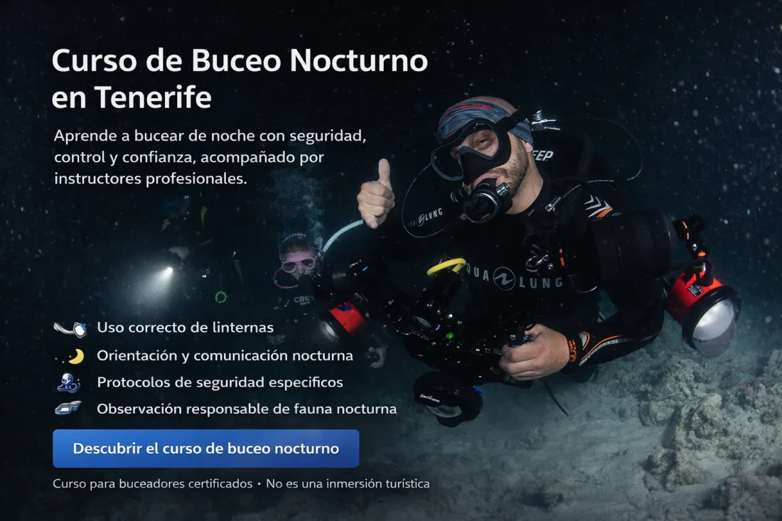 cta buceo nocturno