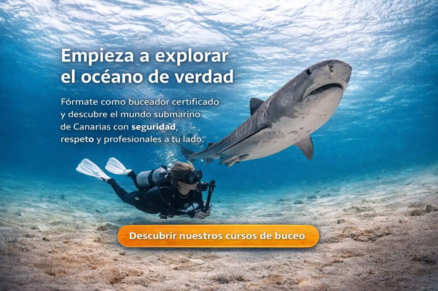 tiburon angelote canarias promocion de cursos de buceo en Tenerife